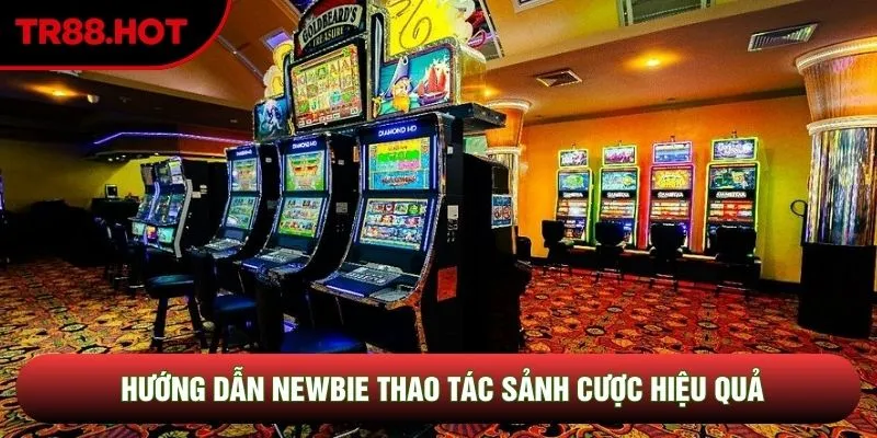 Hướng dẫn newbie thao tác sảnh cược hiệu quả Hướng dẫn newbie thao tác sảnh cược hiệu quả